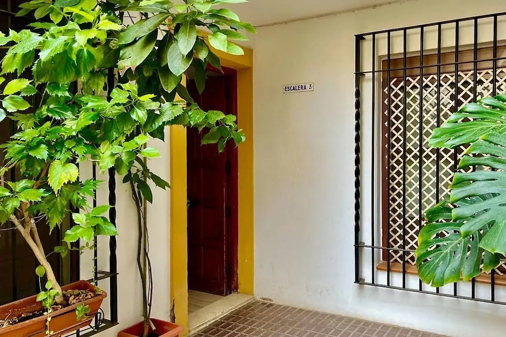 Apartment Apartamento Kenza Cordoba Spain